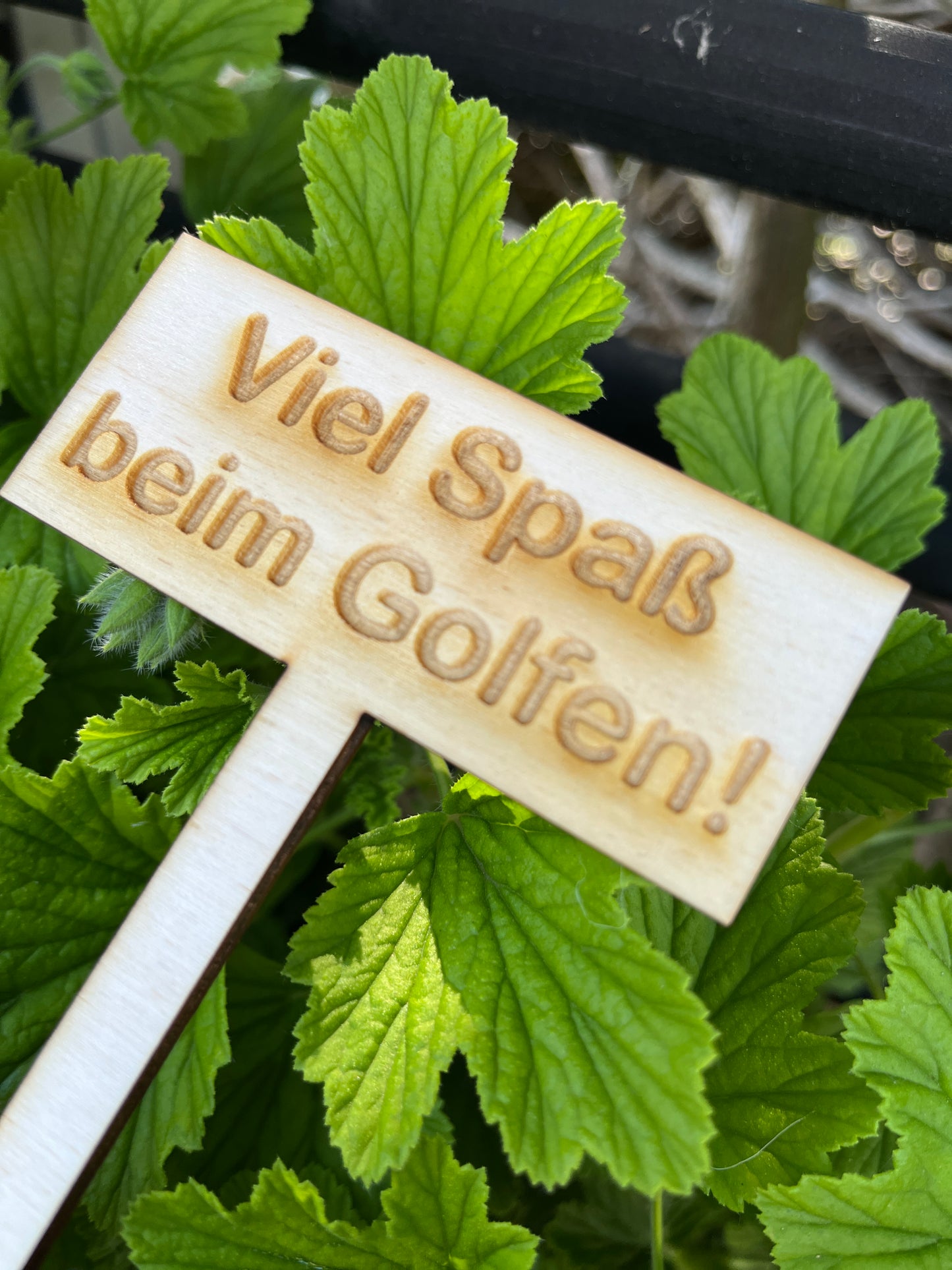 Golf Geldgeschenk-Aufsteller