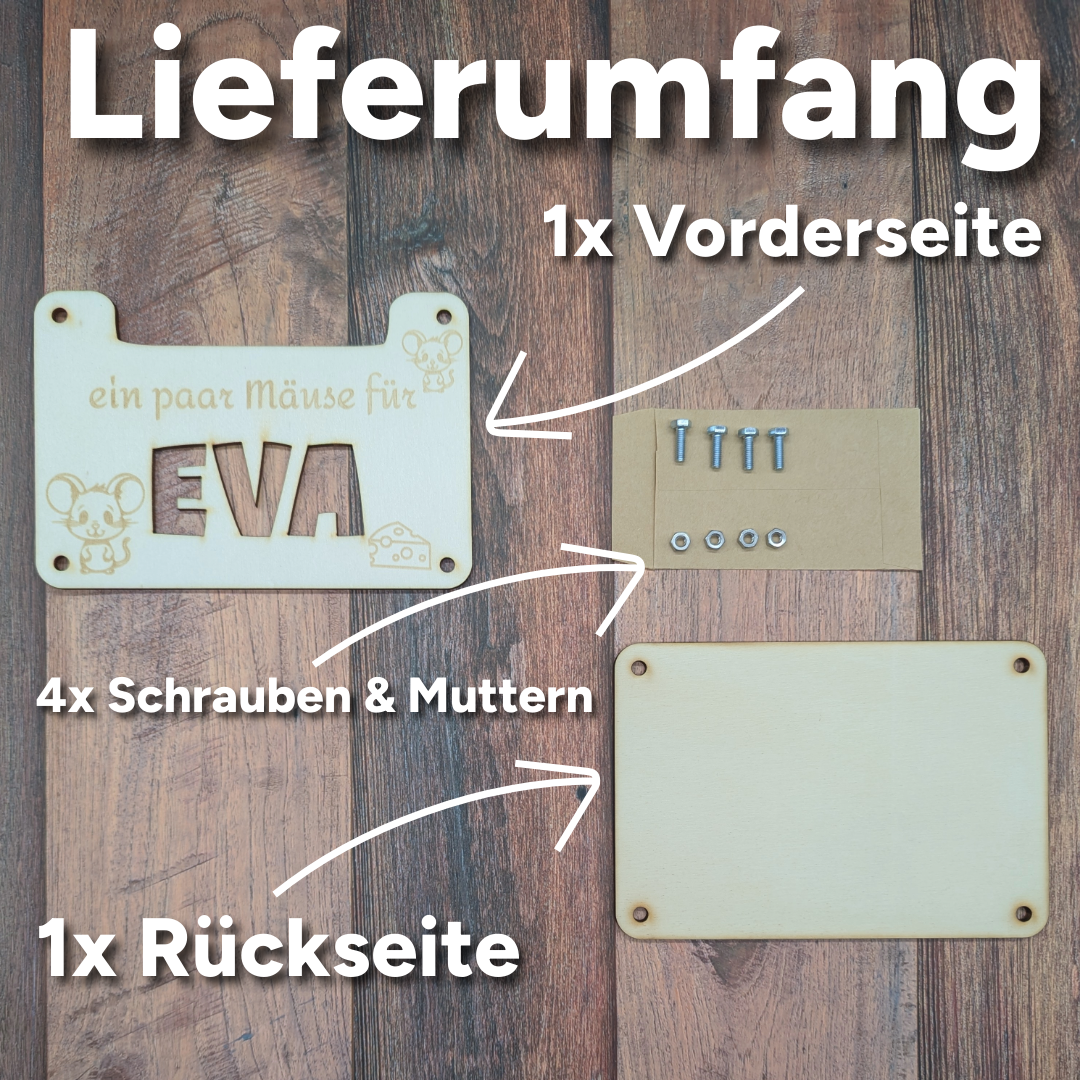 Personalisiertes Geldgeschenk "ein paar Mäuse für___"
