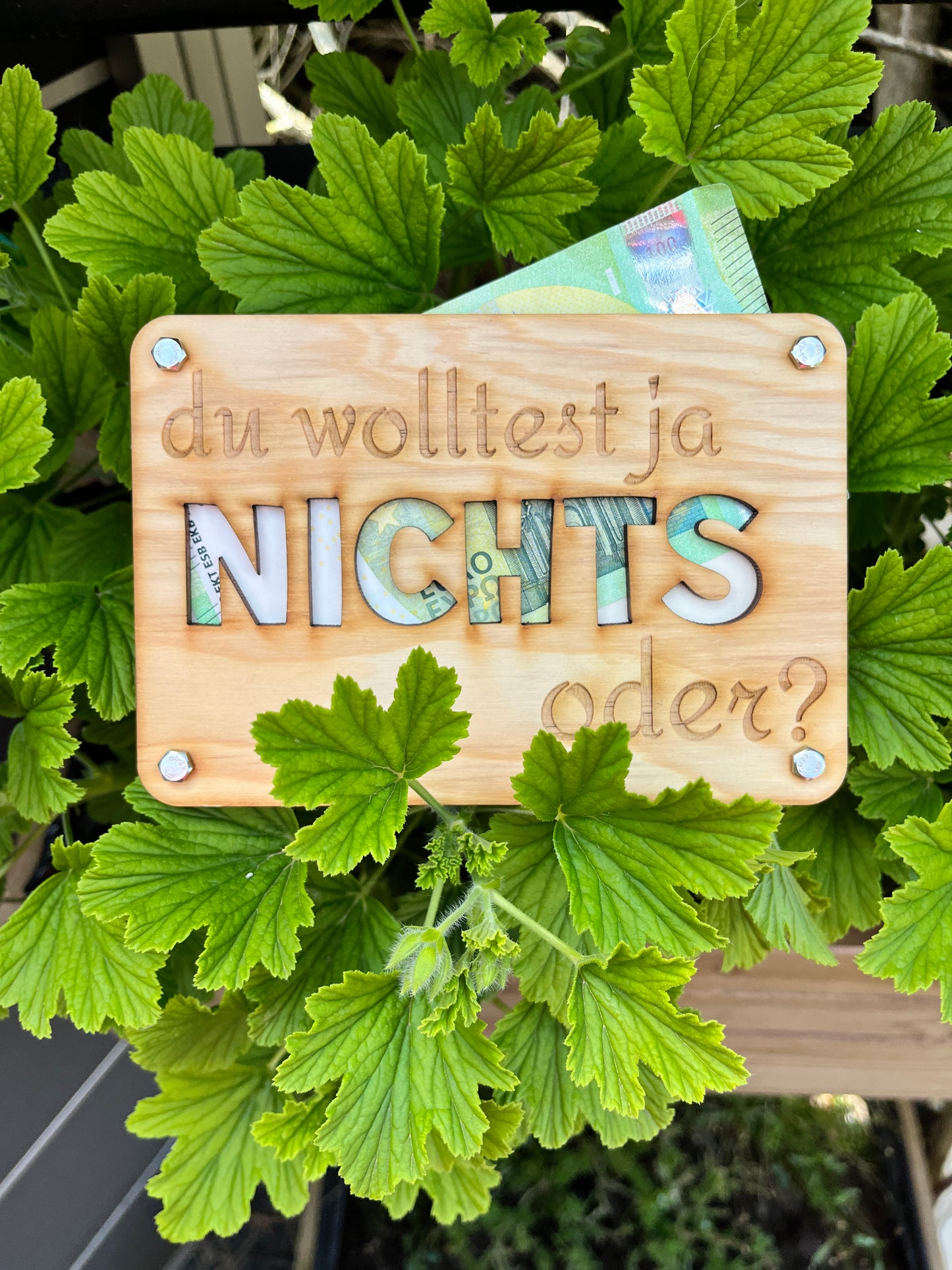 Du wolltest ja NICHTS oder? Lustige Geldgeschenk-Karte aus Holz
